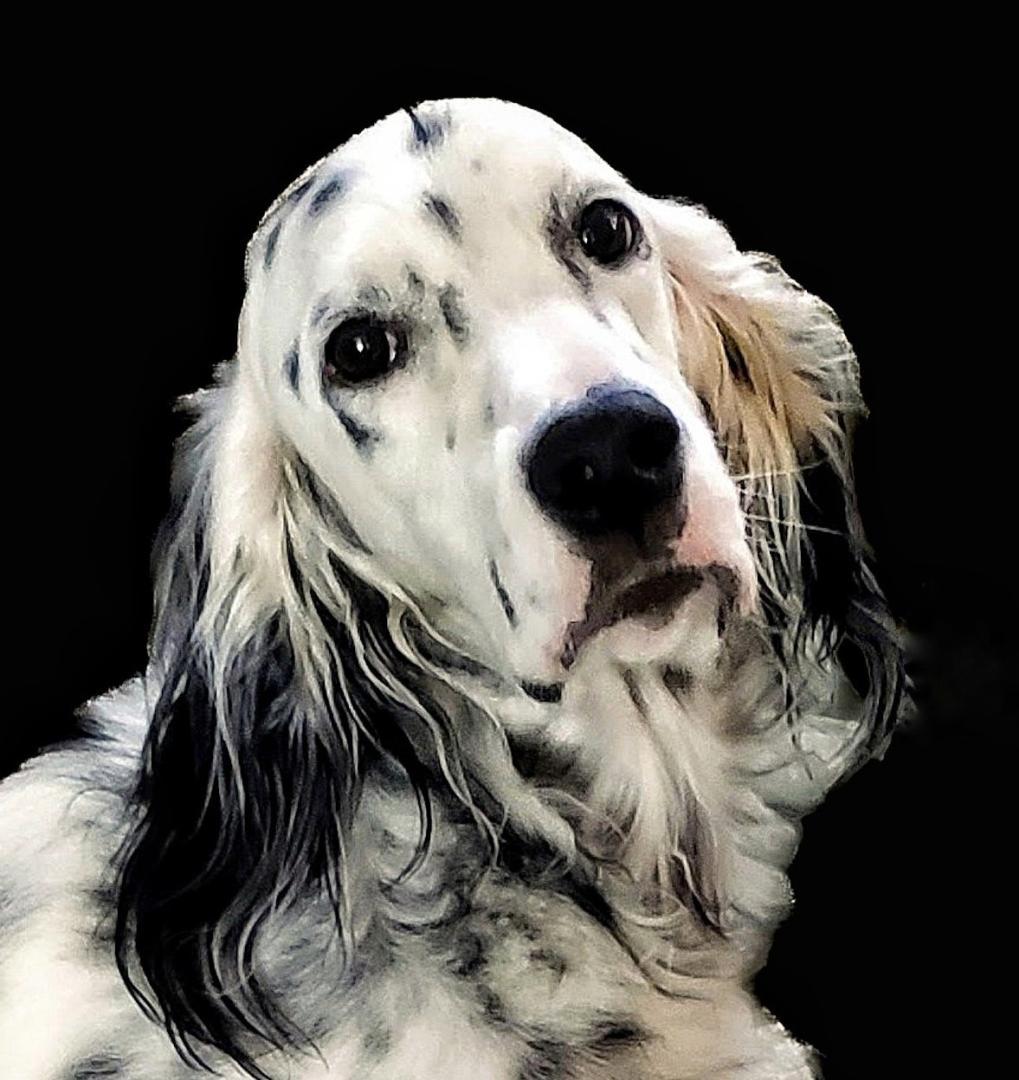 Shot with Android phone. Masked background with Lightroom.