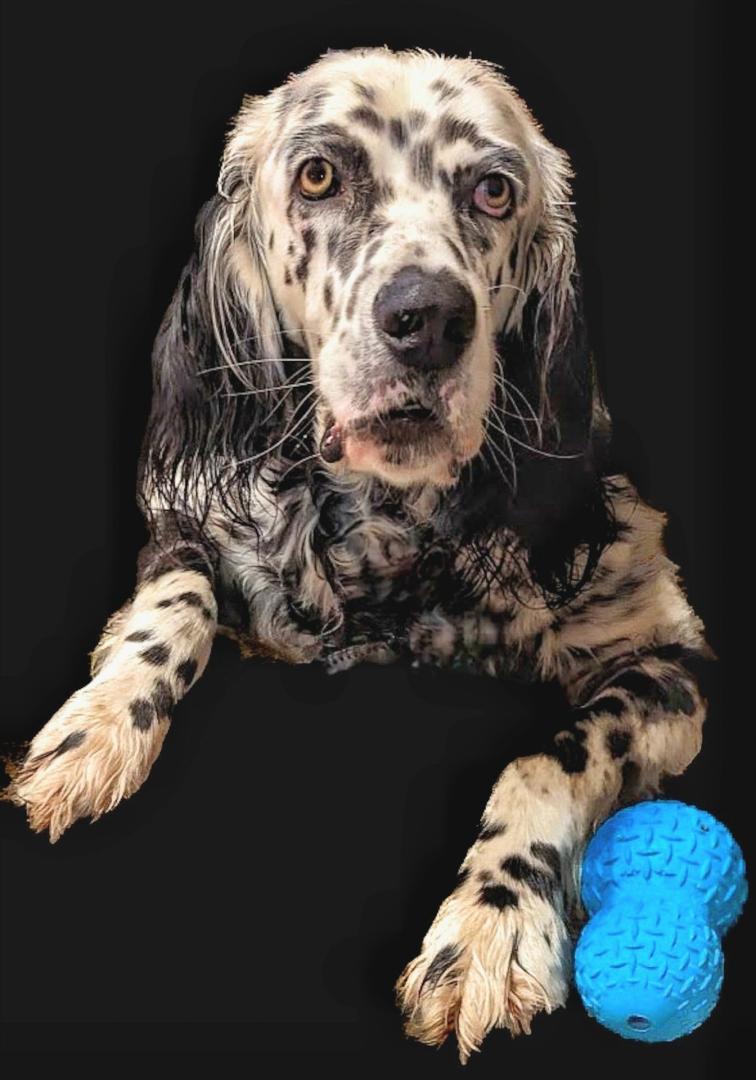 Android phone photo. Lightroom edit.