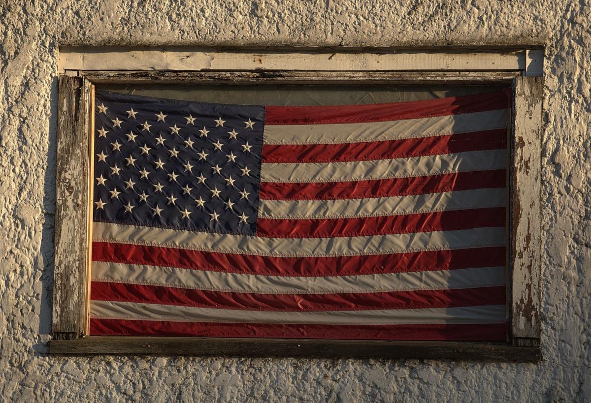 Competition entry: Hanging In There