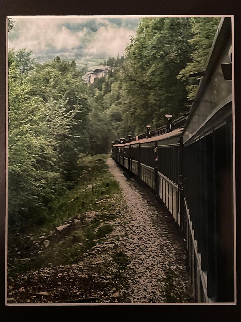 Competition entry: Train ride in Alaska