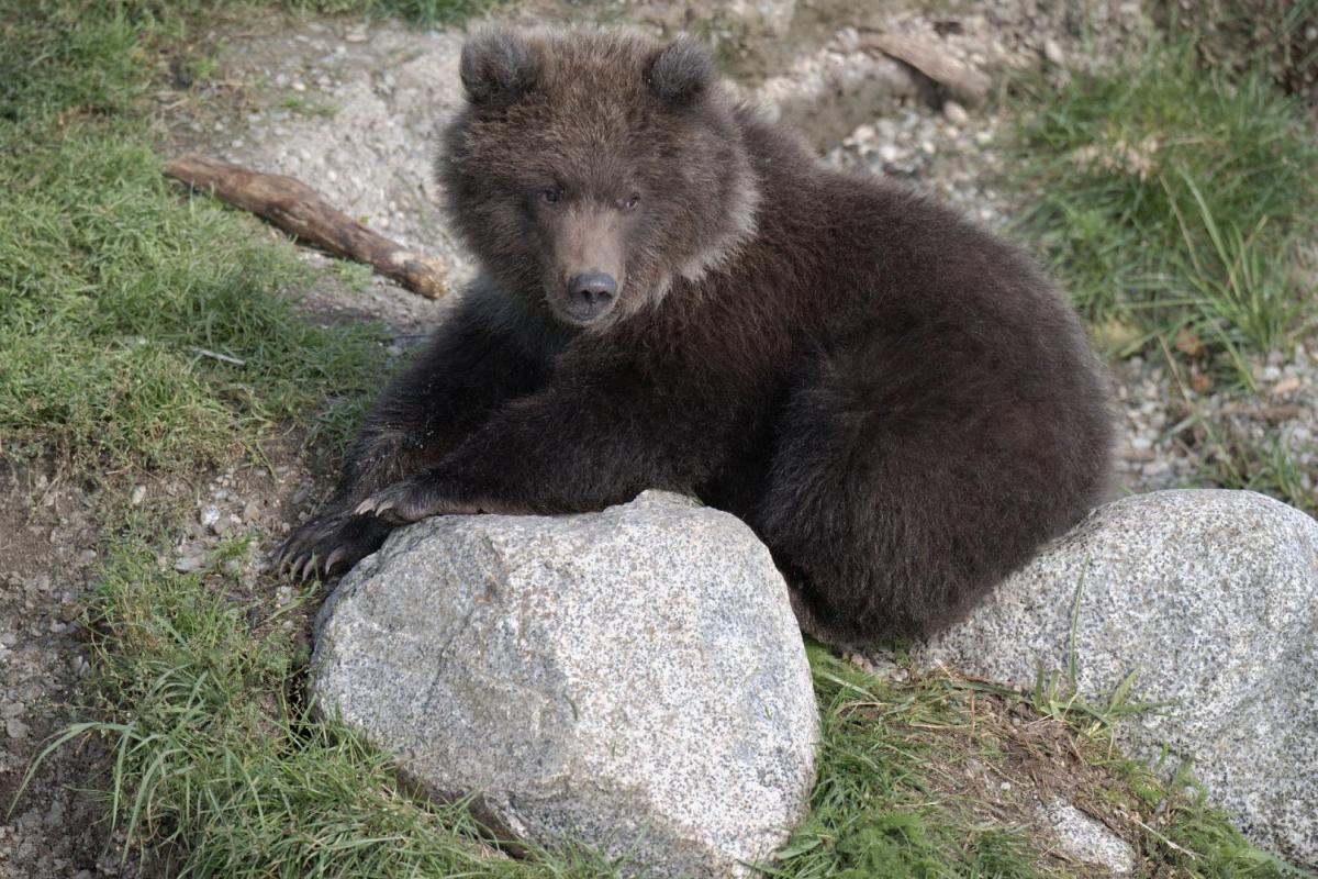 Competition entry: Just Resting