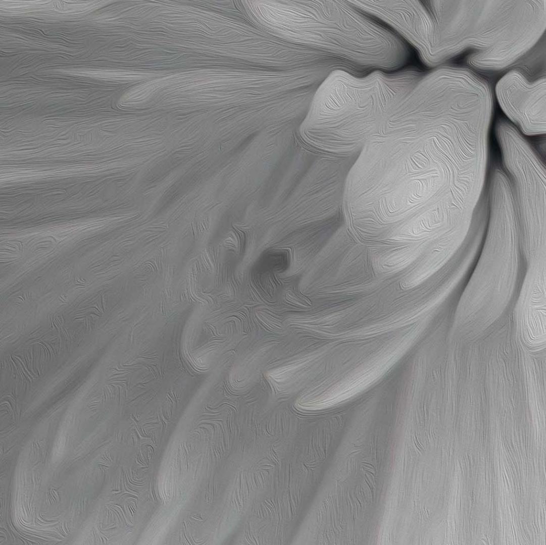 Competition entry: White on White