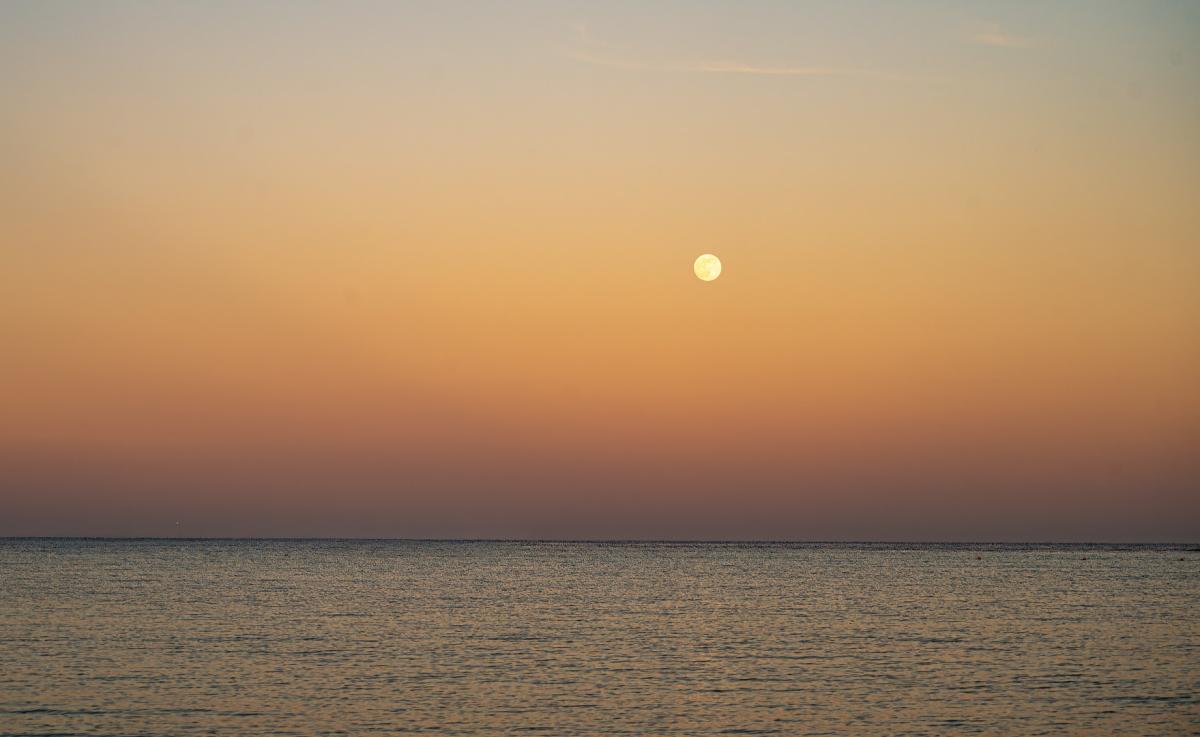 Competition entry: Winter Moon