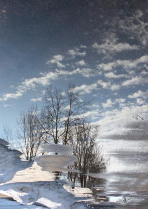 Competition entry: Puddle Reflection