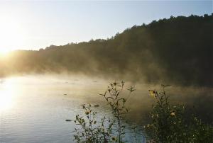 Competition entry: Morning Fog on the Flambeau 