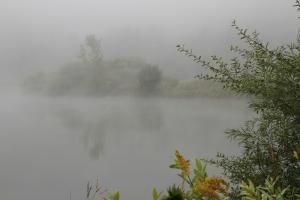 Competition entry: Near And Far On A Foggy Day