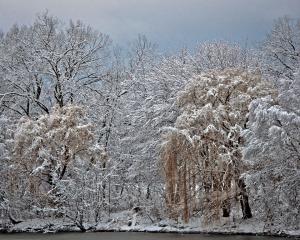 Competition entry: Snow