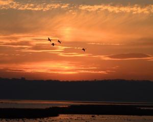 Competition entry: Brownsville Sunrise