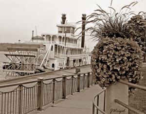 Competition entry: Julia Belle Swain at Riverside