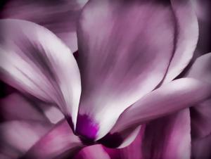 Competition entry: Pink