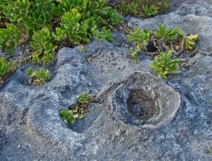 Competition entry: Old Old Lava Bed