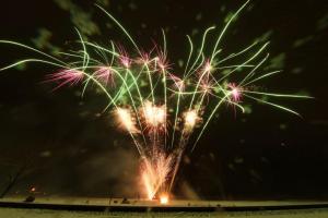 Competition entry: Winter Fireworks