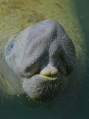 Competition entry: Smile for the camera