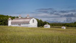 Competition entry: Silver Barns
