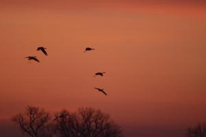 Competition entry: Sunset