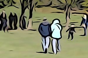 Competition entry: Just a Walk in the Park