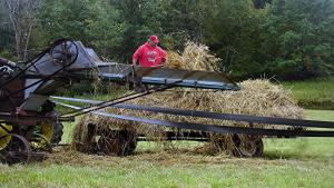 Competition entry: Threshing