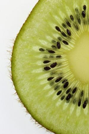 Competition entry: Kiwi