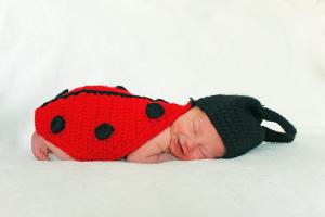 Competition entry: Cute As A Bug