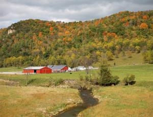 Competition entry: Farm with creek