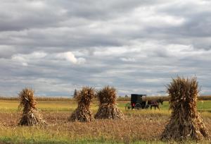 Competition entry: Heading Home