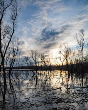 Competition entry: High water mark