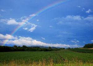 Competition entry: The Promise of Tomorrow