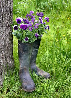 Competition entry: Summer Boots