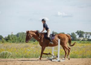 Competition entry: Addi & Taylor