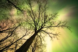 Competition entry: Northern Lights