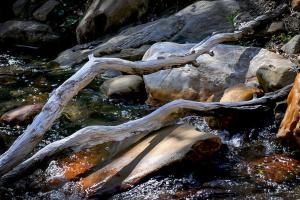 Competition entry: Shadows on the Creek