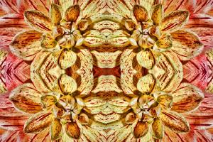 Competition entry: Dahlia Quadruple