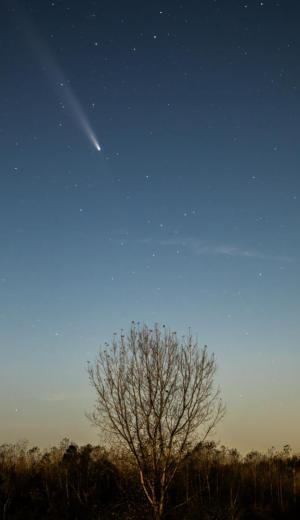 Competition entry: Armageddon