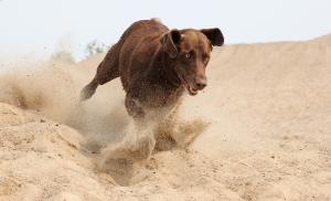 Competition entry:         Ready Or Not! Here I Come!