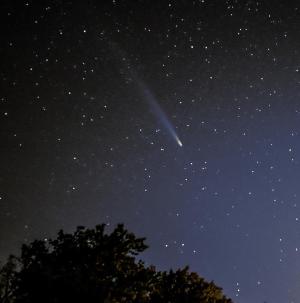 Tsuchinshan-Atlas comet over trees
