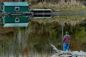 Competition entry: Fishing