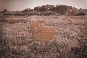 Competition entry: Vintage Buggy