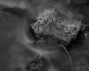 Competition entry: Flowing Rock