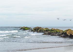 Competition entry: Waves and Rocks 