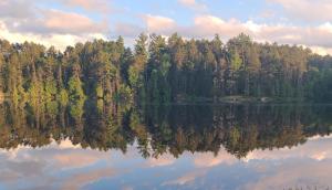 Competition entry: Peace and Tranquility 