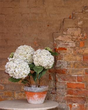 Competition entry: Flower Pot