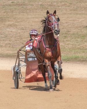 Harness racing