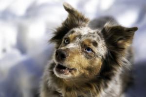 Competition entry: Star