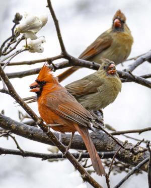 Competition entry: Dinner Time