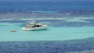 Competition entry: Rottnest Island