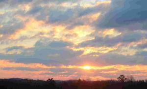 Competition entry: What's Brewing