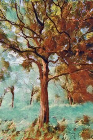 Competition entry: Tree at Perot