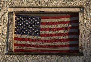 Competition entry: Hanging In There