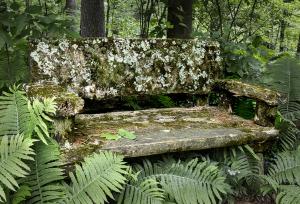 Competition entry: Sit a spell