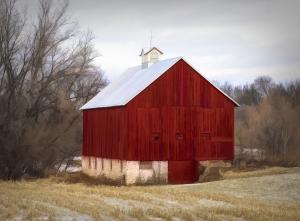 Competition entry: Old Barn, New Paint